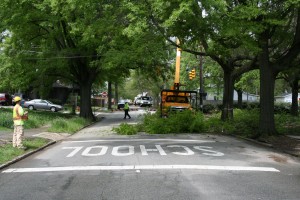 Tree maintenance near school zone street.