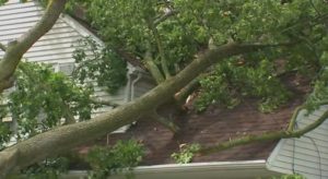 Fallen tree on house roof after storm.