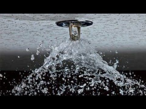Fire sprinkler spraying water from ceiling.